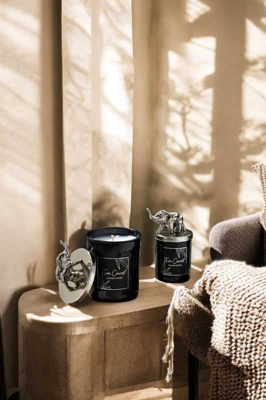 Dekoratif Gümüş Filli Vanilya Kokulu 2'li Beyaz Bardak Mum Seti