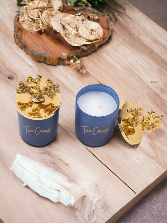 Tiem Concept Decorative Special Design Gold Coral Top Ocean Scented 2-Piece Glass Candle Set