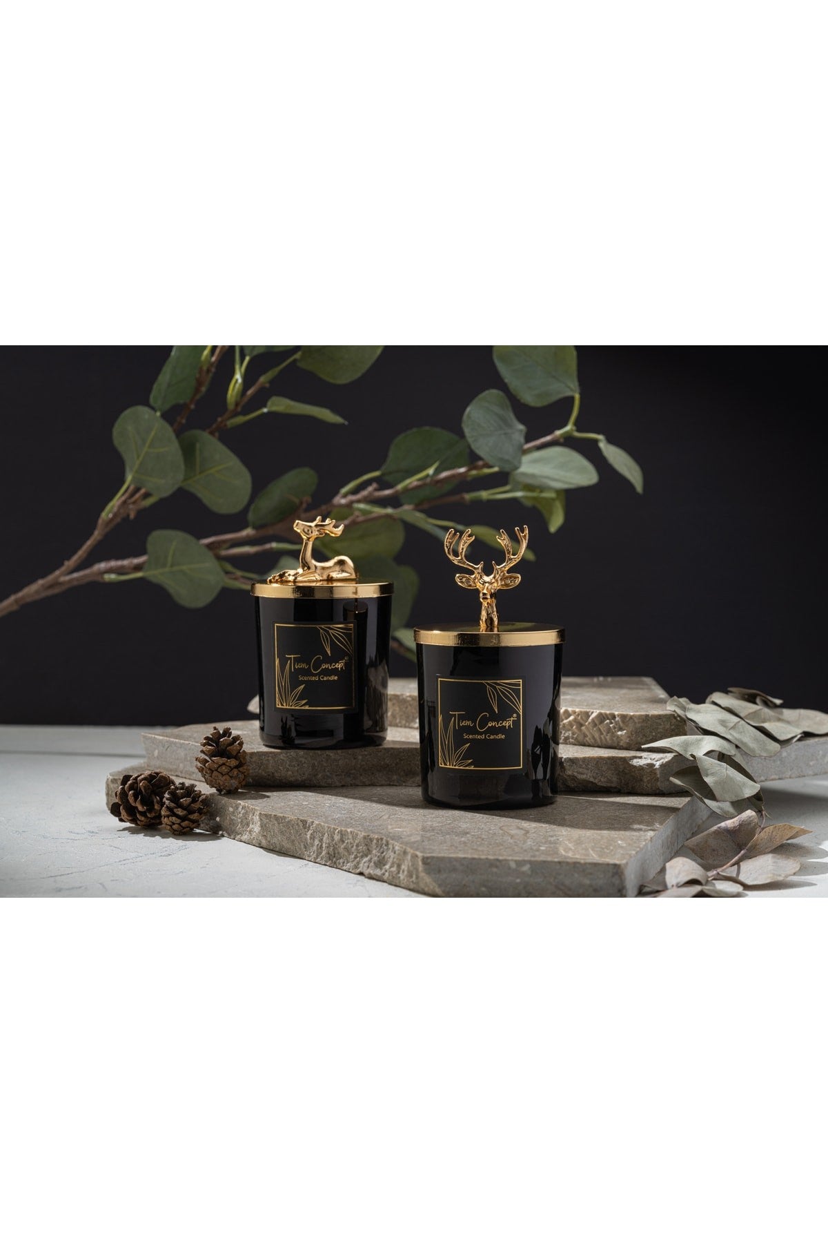 Tiem Concept Decorative Special Design Gold Deer Headed 2-Piece Black Glass Candle Set
