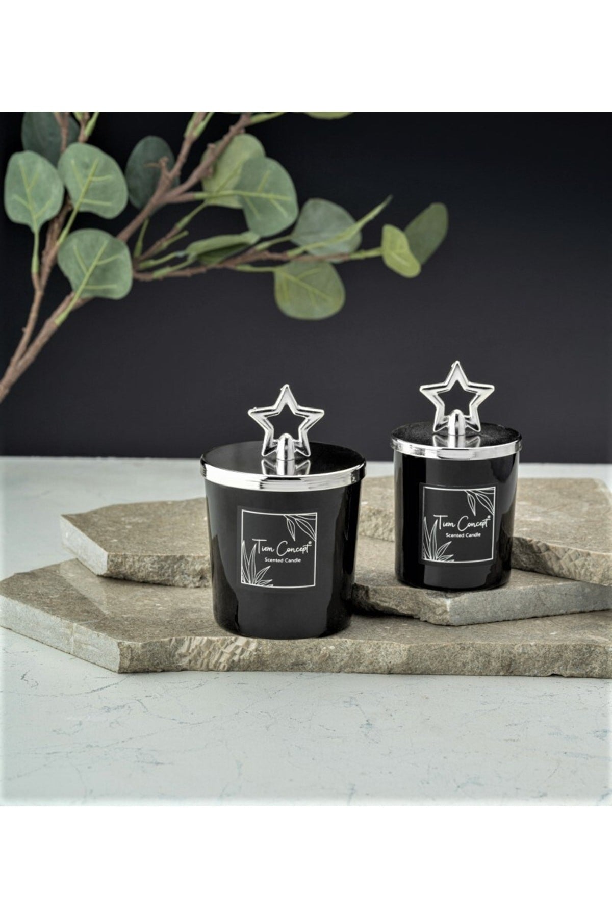 Tiem Concept Decorative Special Design Silver Star Headed 2-Piece Black Glass Candle Set