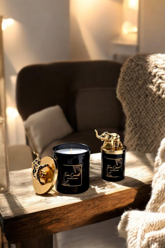 Tiem Concept Special Design Decorative Gold Elephant Top 2-Piece Black Glass Candle Set