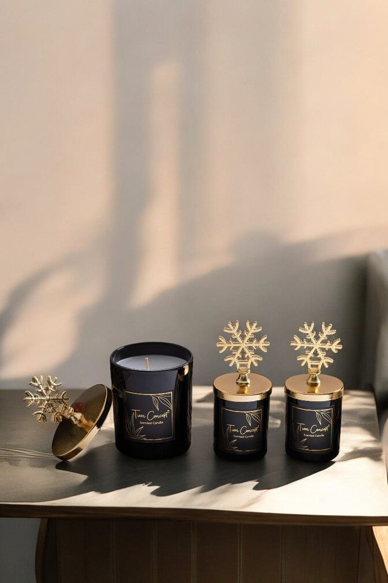 Tiem Concept Decorative Red Gift Boxed Gold Snowflake 3-Piece Black Glass Candle Set