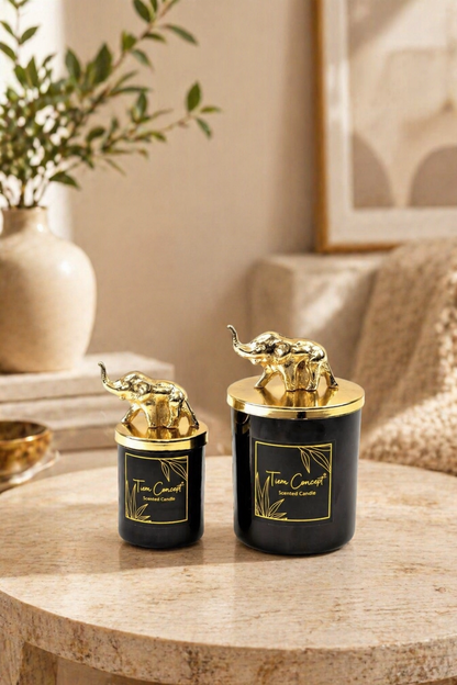 Tiem Concept Special Design Decorative Gold Elephant Top 2-Piece Black Glass Candle Set