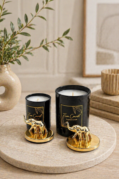 Tiem Concept Special Design Decorative Gold Elephant Top 2-Piece Black Glass Candle Set