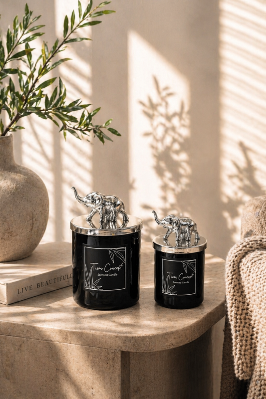 Tiem Concept Special Design Decorative Silver Filled Vanilla Scented 2-Piece White Glass Candle Set